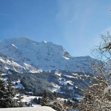 Lauber-1 Appartamento Wengen